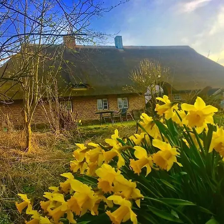 Ferienwohnung Mit Luxusbad, Terrasse Ostseenaehe Gremersdorf Buitenkant foto