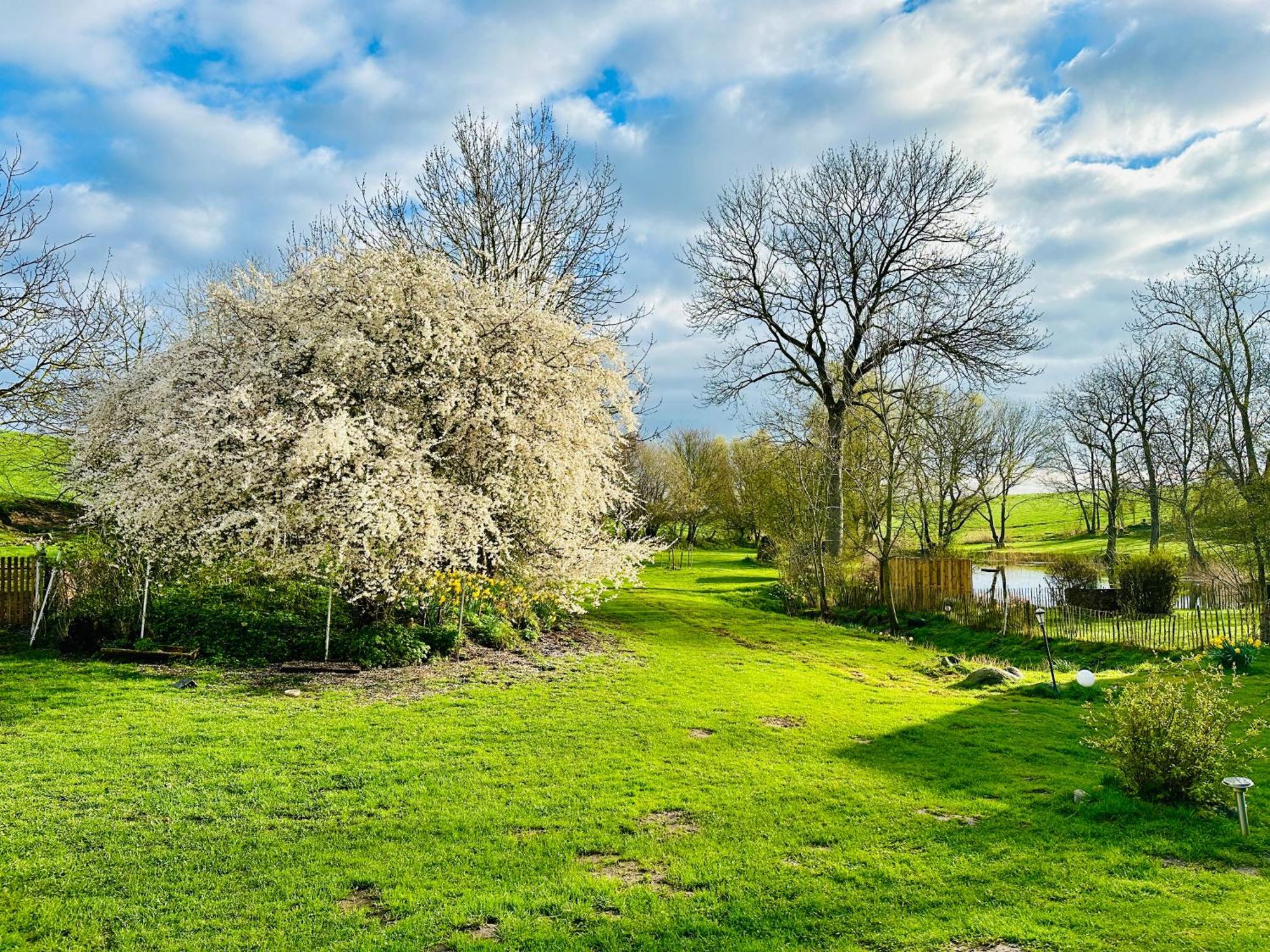 Mit Luxusbad, Terrasse Ostseenaehe * Gremersdorf